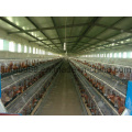 Egg Laying Chicken Cage for Poultry Farm